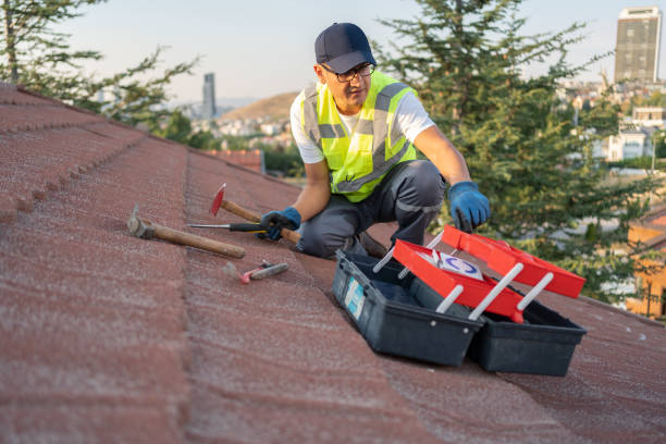 Storm Damage Siding Repair in Cologne, MN